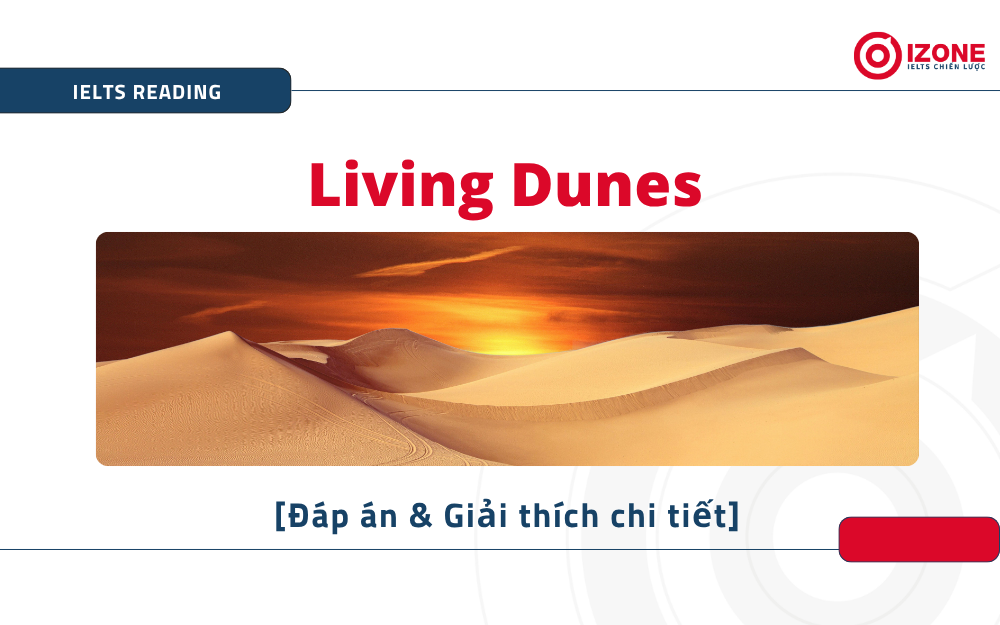 Living Dunes IELTS Reading
