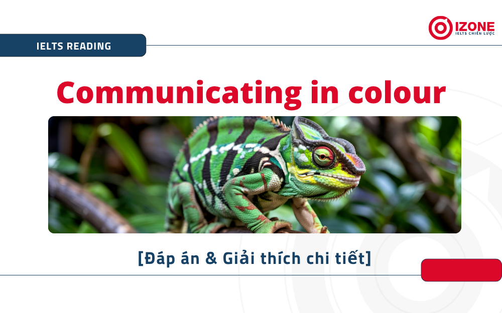 Communicating in colour IELTS Reading