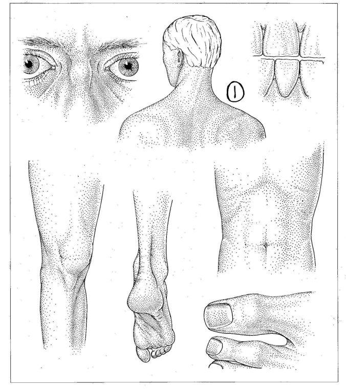 Listen Carefully Unit 7 Health