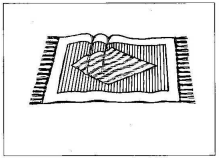 Listen Carefully Unit 14 Instructions