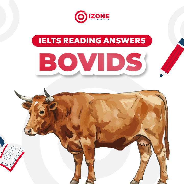 Giải thích đáp án Bovids IELTS Reading answers