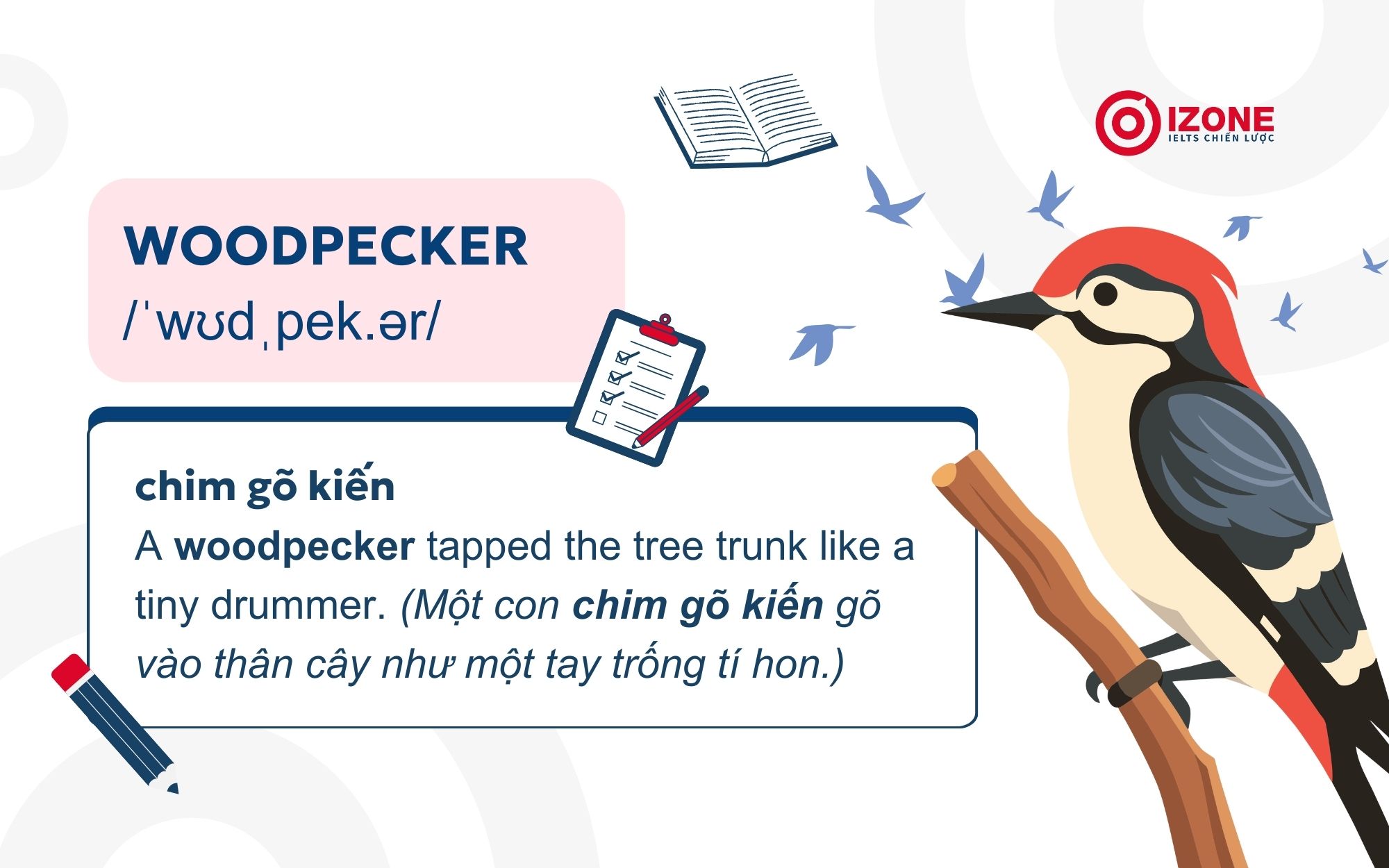 Chim gõ kiến tiếng Anh là Woodpecker