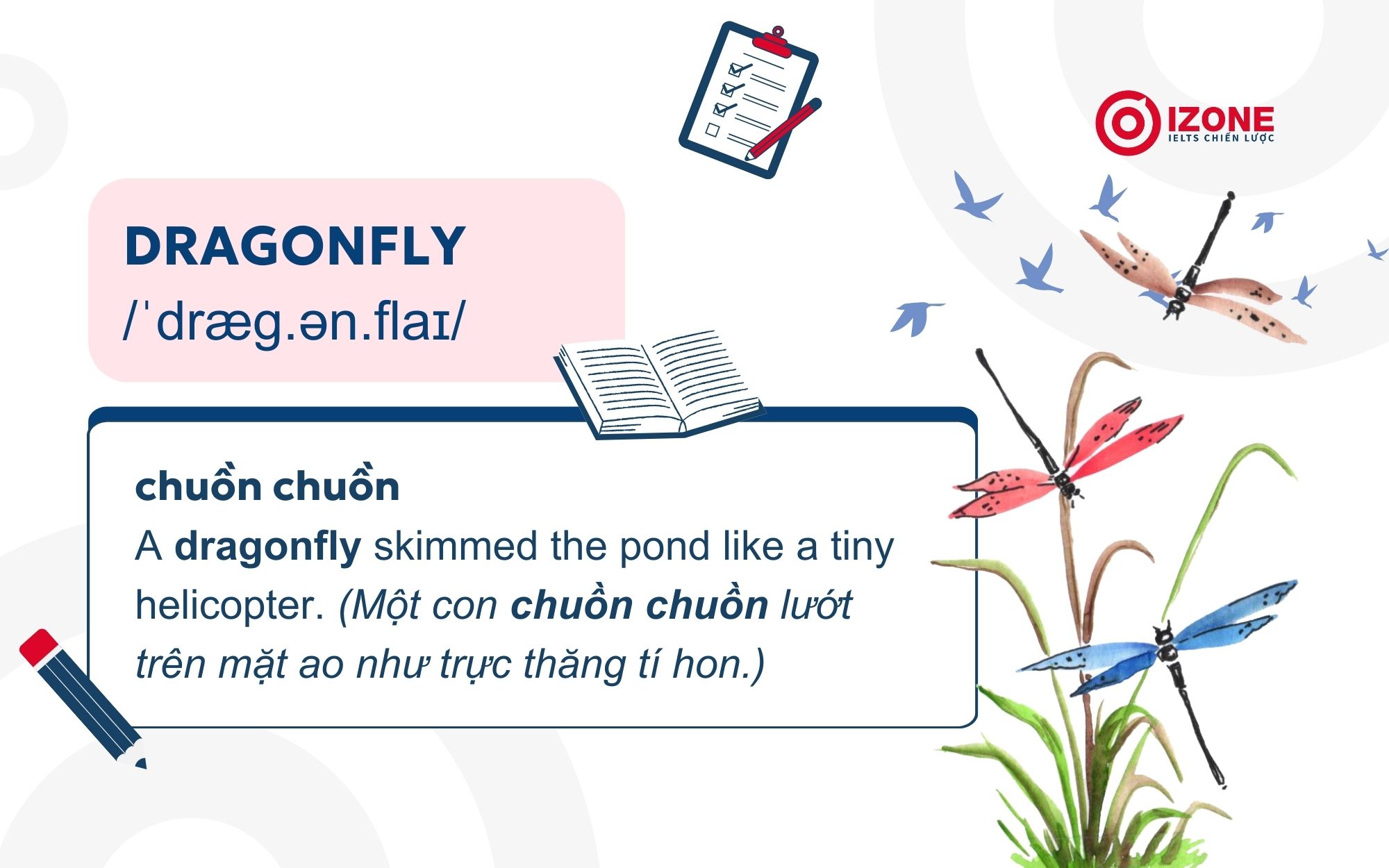 Chuồn chuồn tiếng Anh là Dragonfly