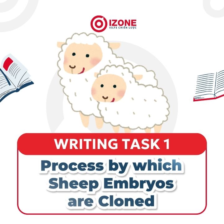 Phân tích Writing Part 1 Procees by which sheep embryos are cloned