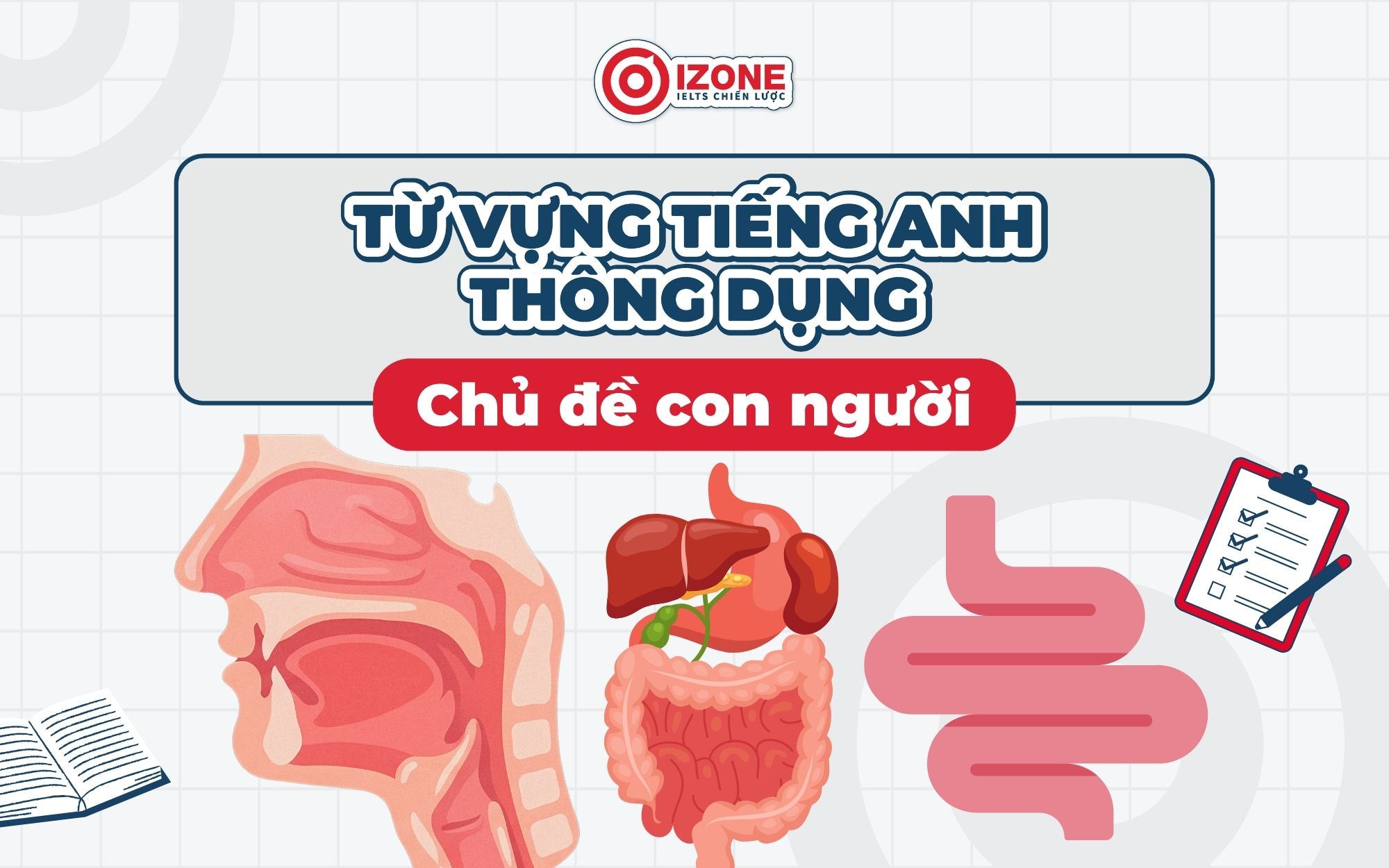 Từ vựng tiếng Anh thông dụng Chủ đề con người