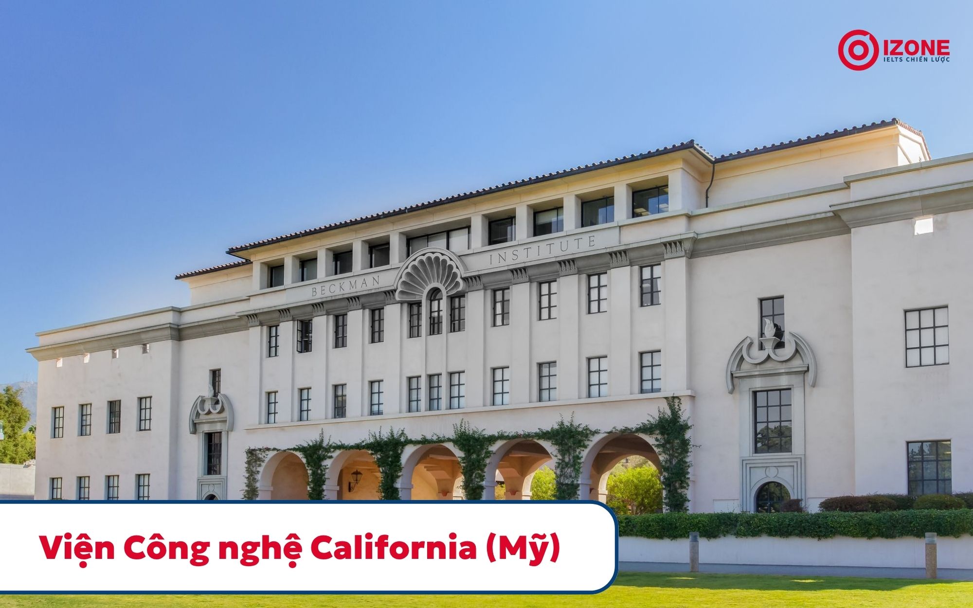 Bảng xếp hạng các trường đại học trên thế giới
